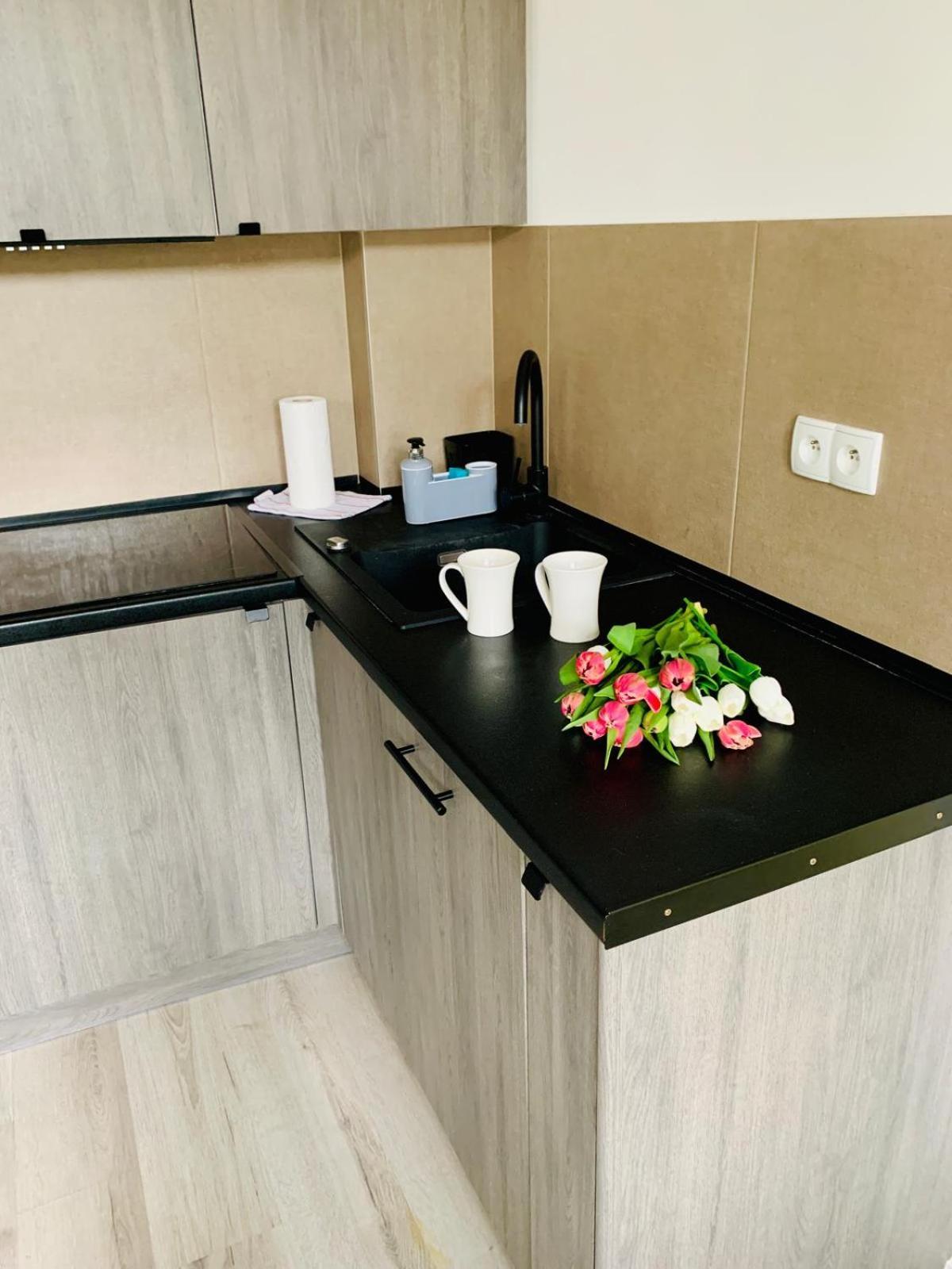 Apartament Fraszka U Kochanowskiego Ac Progres Stary Toruń Eksteriør bilde